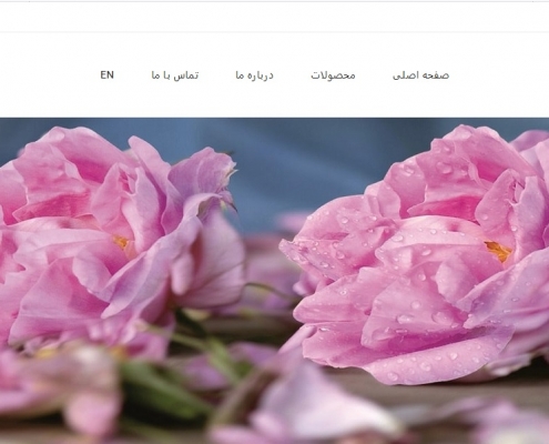 طراحی سایت ایران ترگل